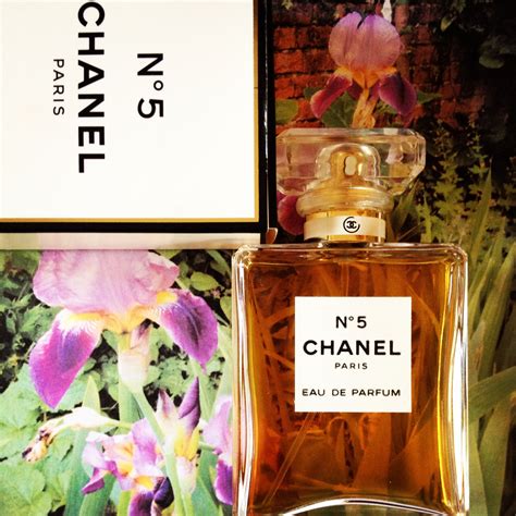 what are the notes in chanel perfume grand traits|Chanel 5 perfume for women.